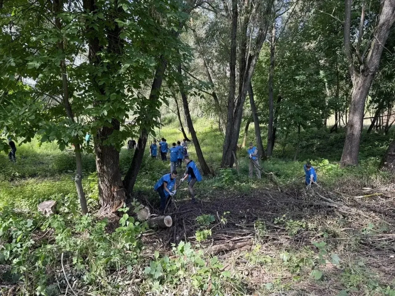 В Каменном логу собрали более 120 кубометров мусора