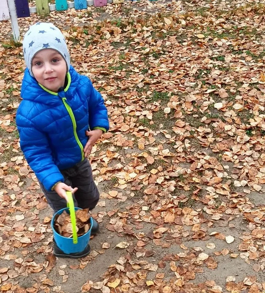 ✅В нашем детском саду  началась настоящая золотая пора! 🍂🍁 Сегодня мы хотим поделитьс...