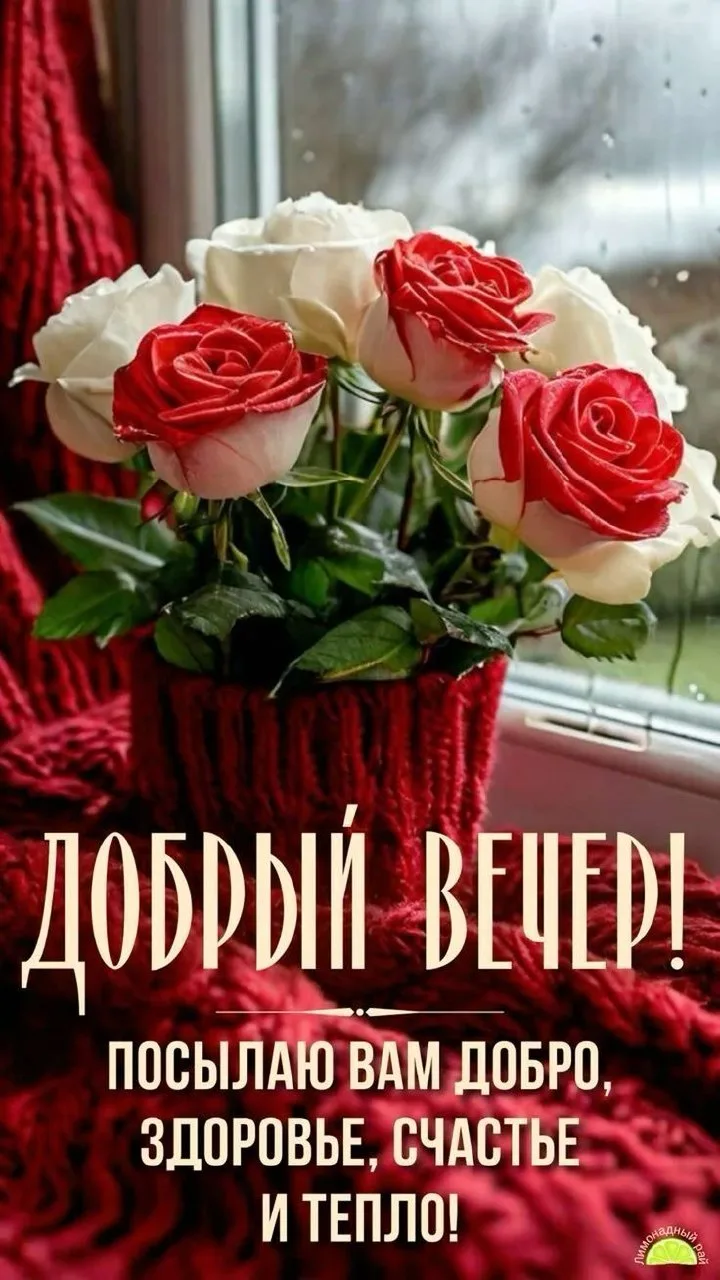 ✨Ждем ваши реакции✨