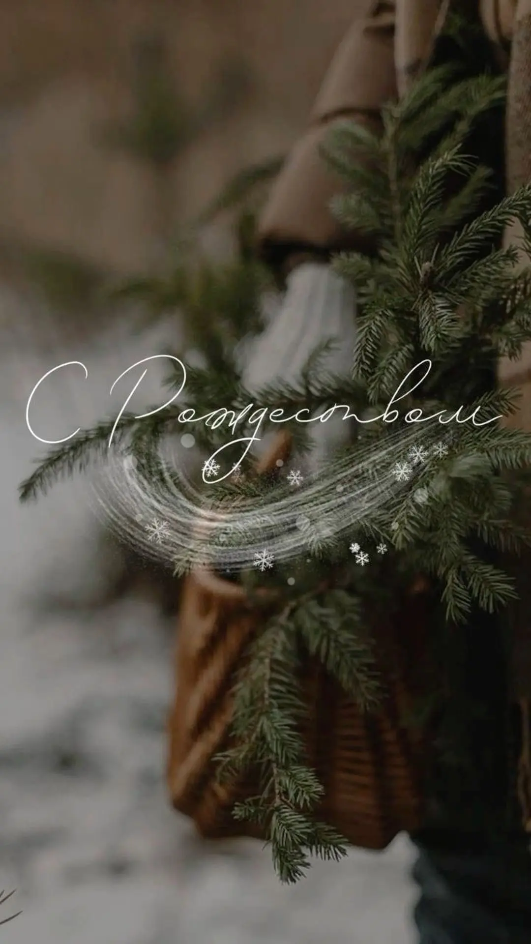 🎄✨ Дорогие гимназистки, родители и коллеги✨🎄