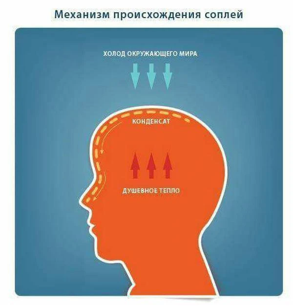 Мы — ходячие теплообменники в ледяной пустыне бытия 🤔