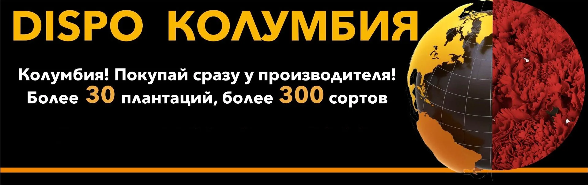 Раздел "Диспо Колумбия на 19-е августа" доступен на сайте до 16:00.