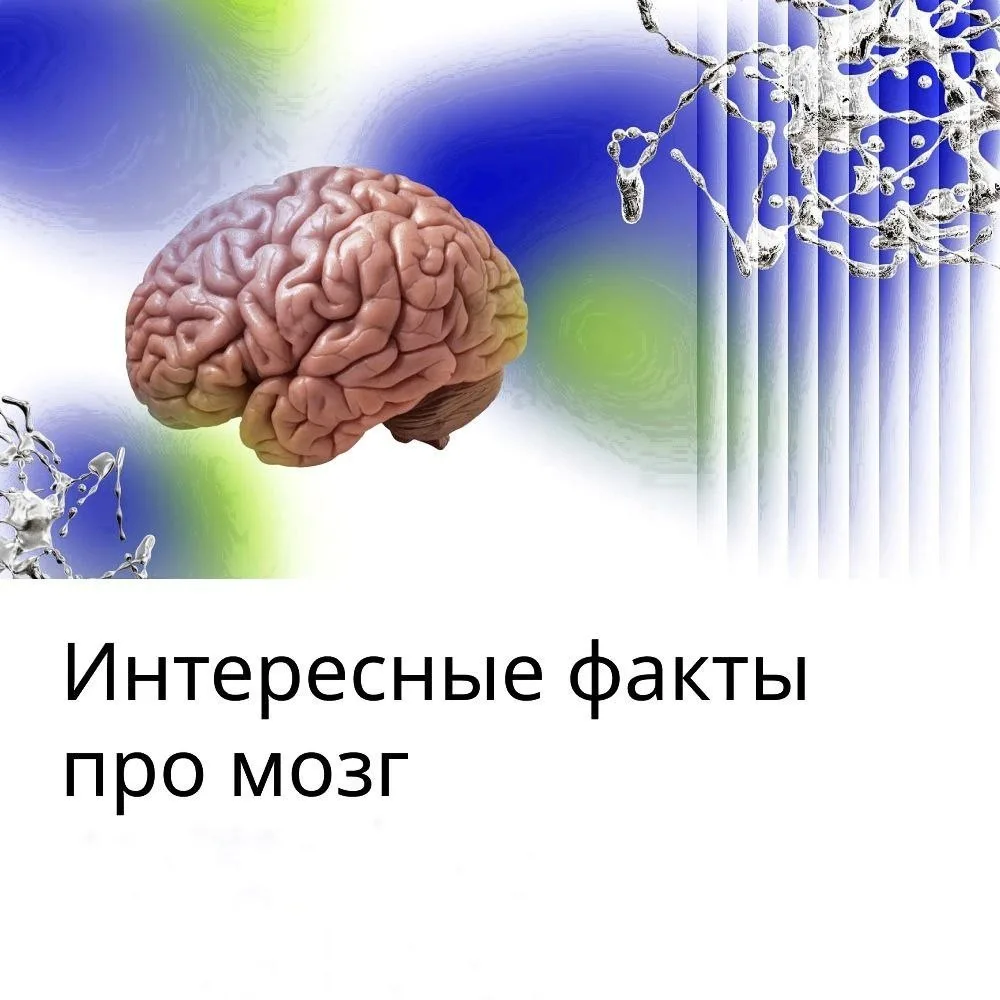 🧠 Сегодня Всемирный день мозга