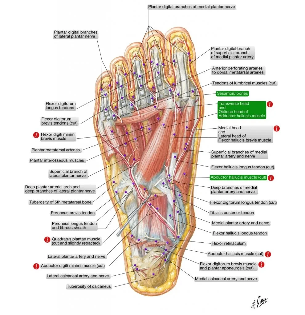 🦶🏻 ВНИМАНИЕ! СРОЧНО ПОСМОТРИТЕ НА СВОИ НОГИ! 🦶🏻