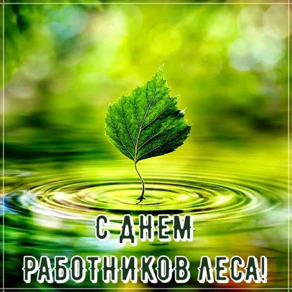 Уважаемые работники лесной отрасли Республики Марий Эл!
