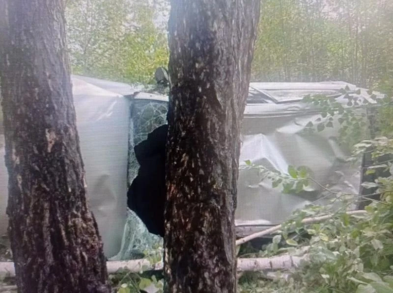 🛑 Жесткое ДТП на подъезде к селу Беклемишево в Читинском округе

25-летний водитель не справился с 