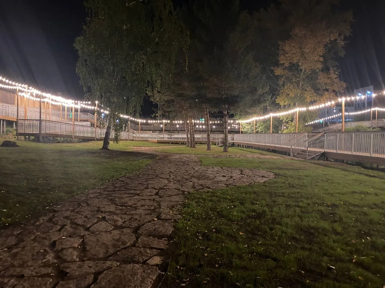 🌙 Спокойной ночи, друзья!