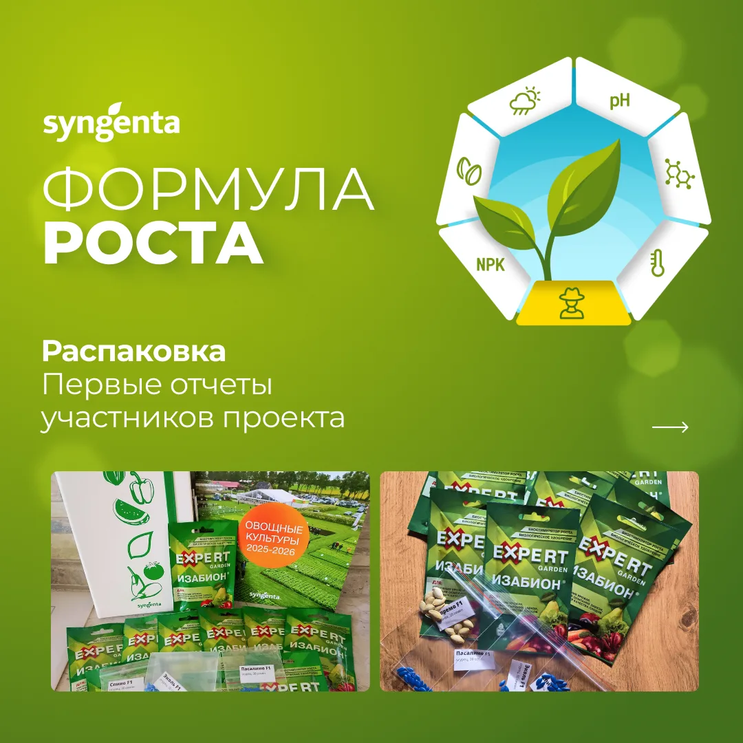 #ФормулаРостаСингенты