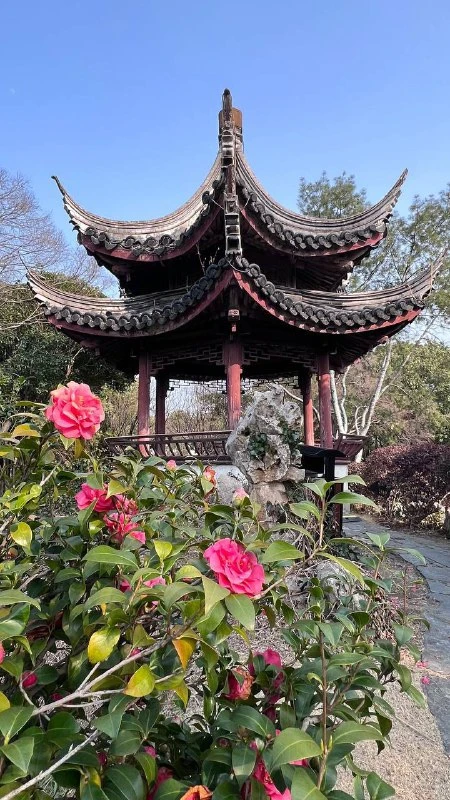 Кто мечтает побывать в Японии🇯🇵 и в Китае🇨🇳? Этот пост точно для вас🤩

Представляем новый безви