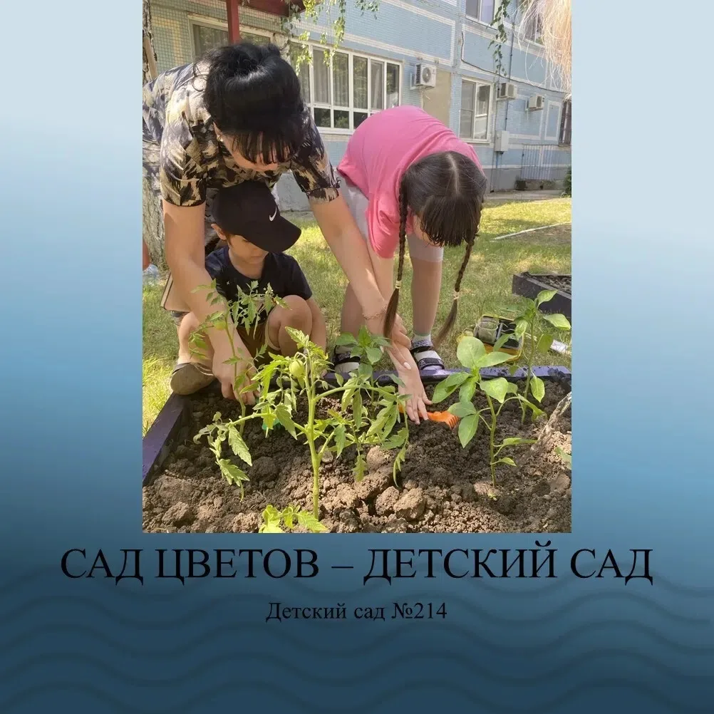 МАДОУ МО г. Краснодар «Детский сад №214» продолжает участие в V Всероссийском летнем фотофестивале «
