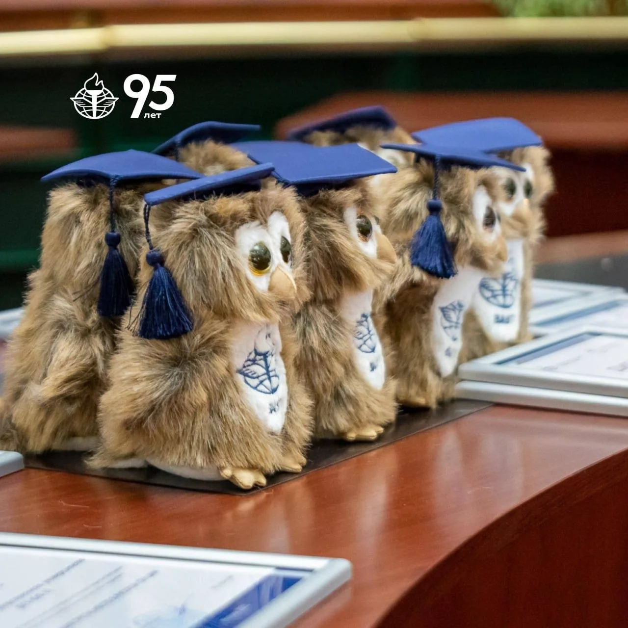 🦉 Кстати, эта сова — настоящая!