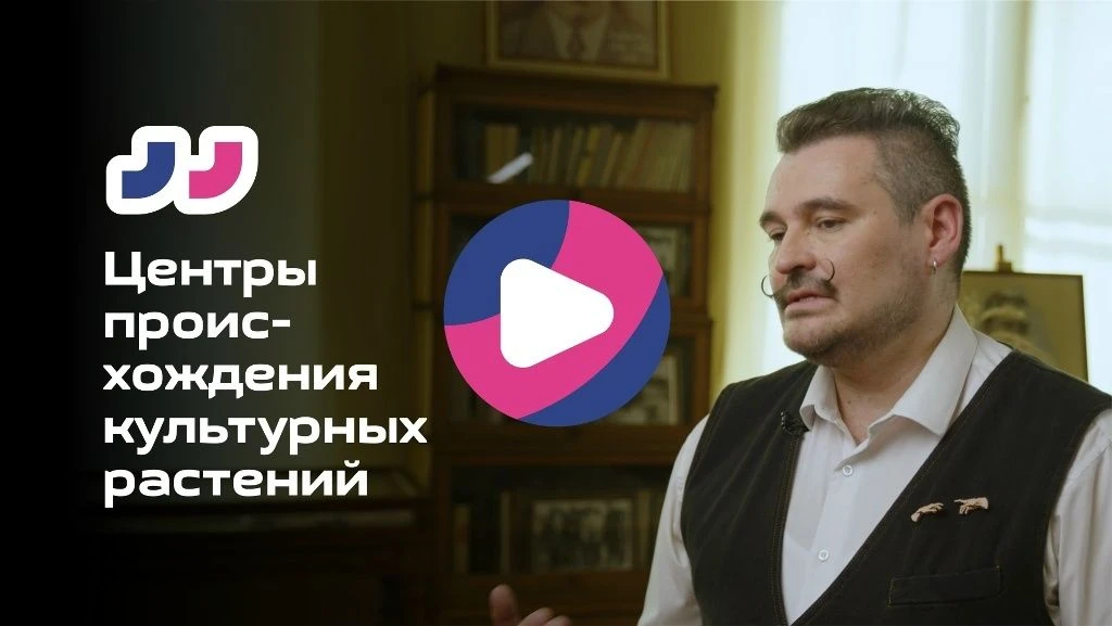 Еще одна видеолекция онлайн-курса. Смотри ее прямо сейчас. 🤩