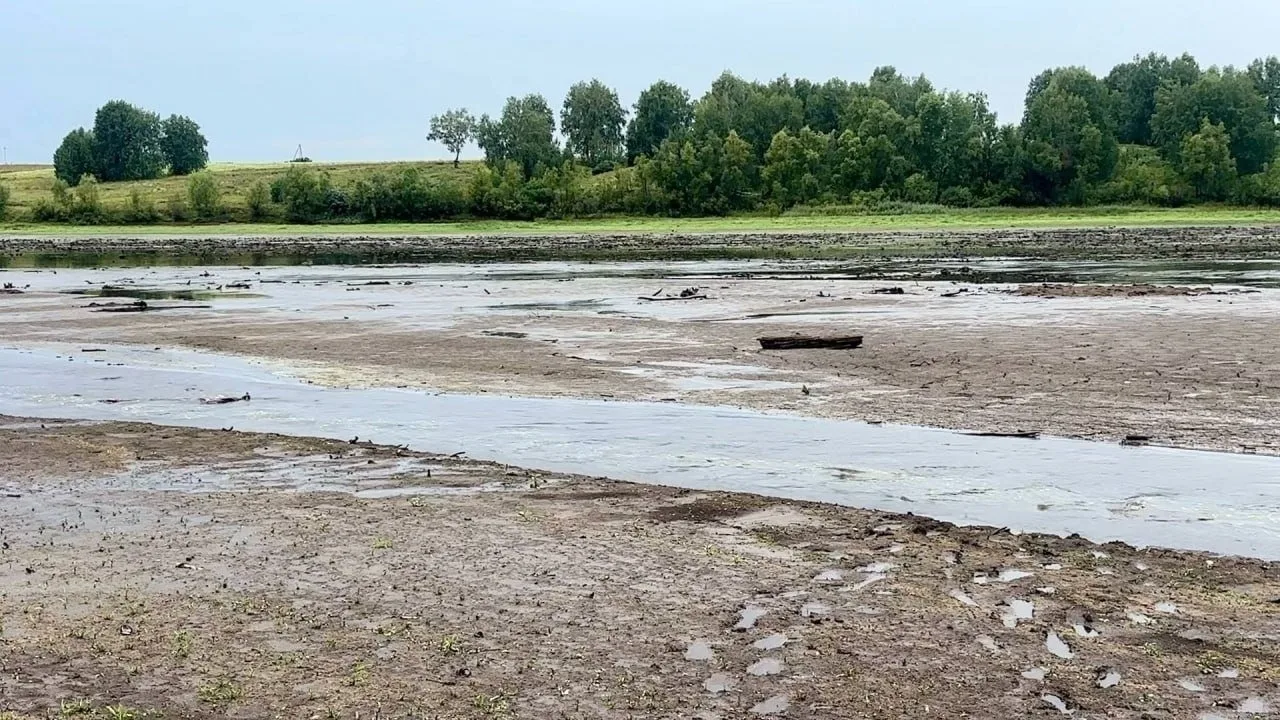 Правдинское водохранилище превратилось в ручей 💧

Водохранилище, в котором водилось 15 видов рыб, п