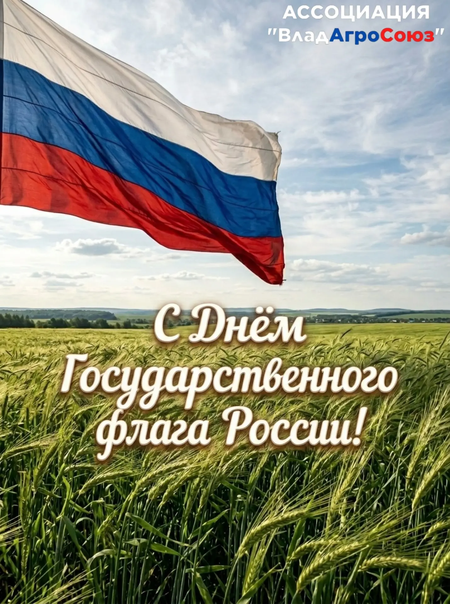 Дорогие друзья и коллеги!