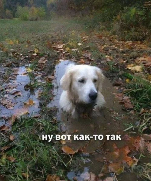 Ага, вижу что часть пользователей пытаются скачивать музыку из ВК, но не получается

Ну хорошо! Скор