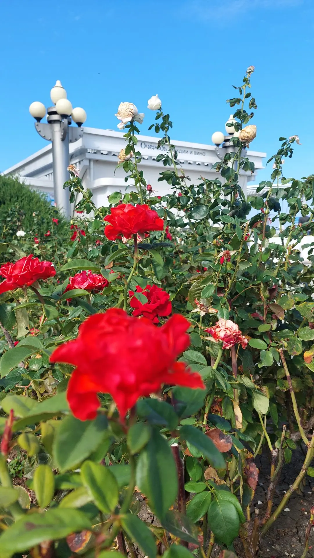 Всем хорошего дня и прекрасного настроения🥰🙋‍♀️