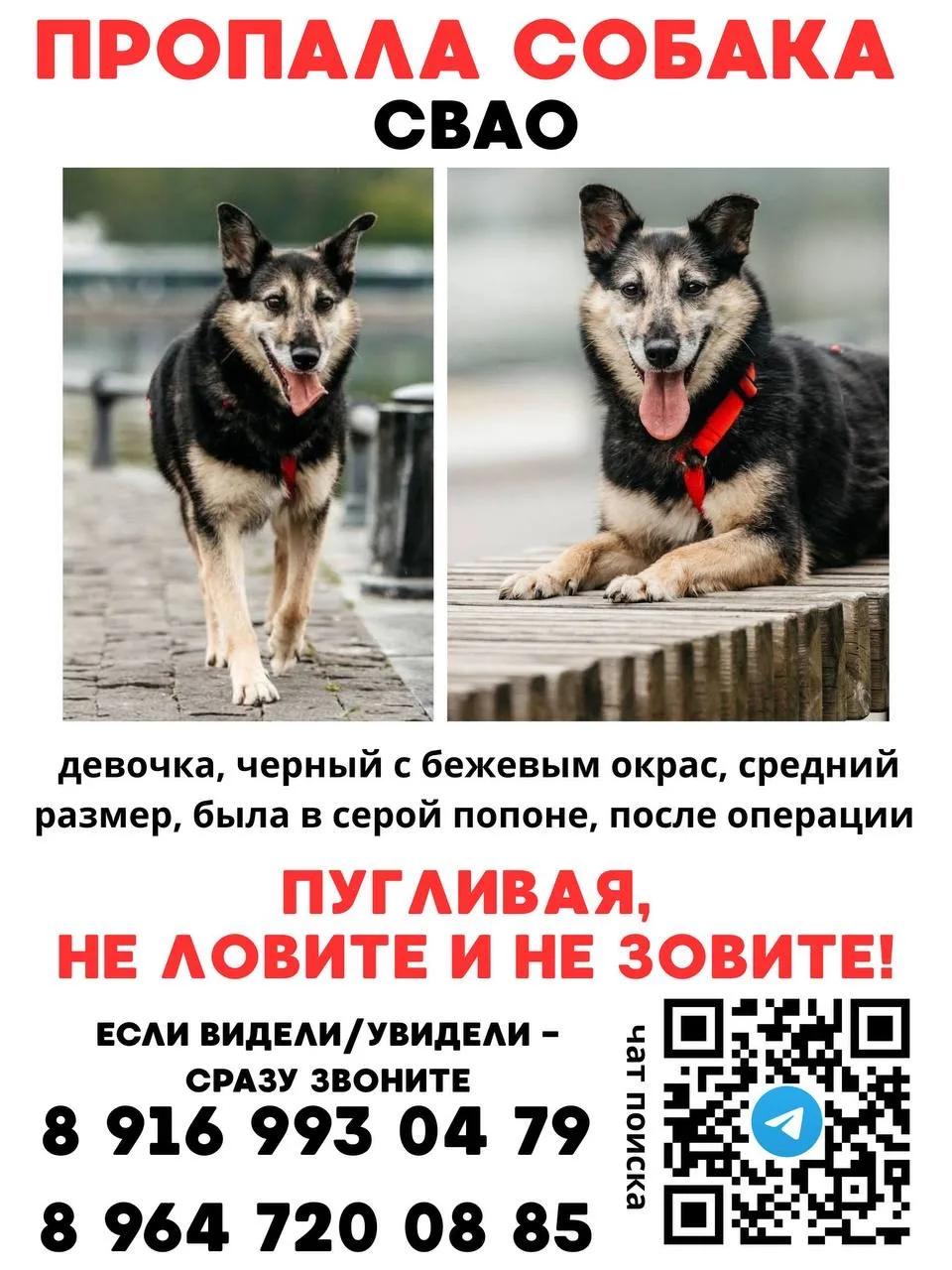 СВАО, Останкинский,