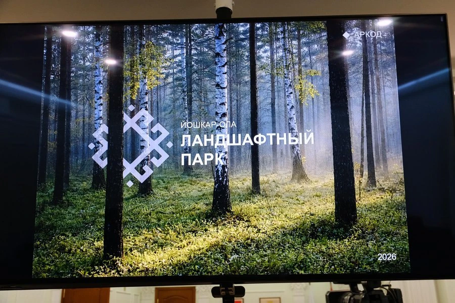 Совет по вопросам архитектуры и инфраструктуры Марий Эл поддержал концепцию благоустрой...