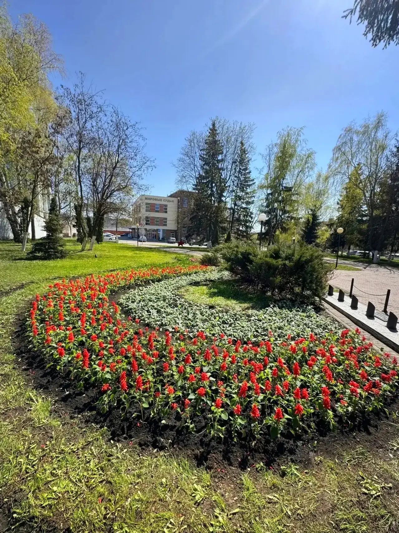 Ярких красок вам в ленту! В городе разбили первые клумбы, которые радуют глаз своей красотой.  Особо