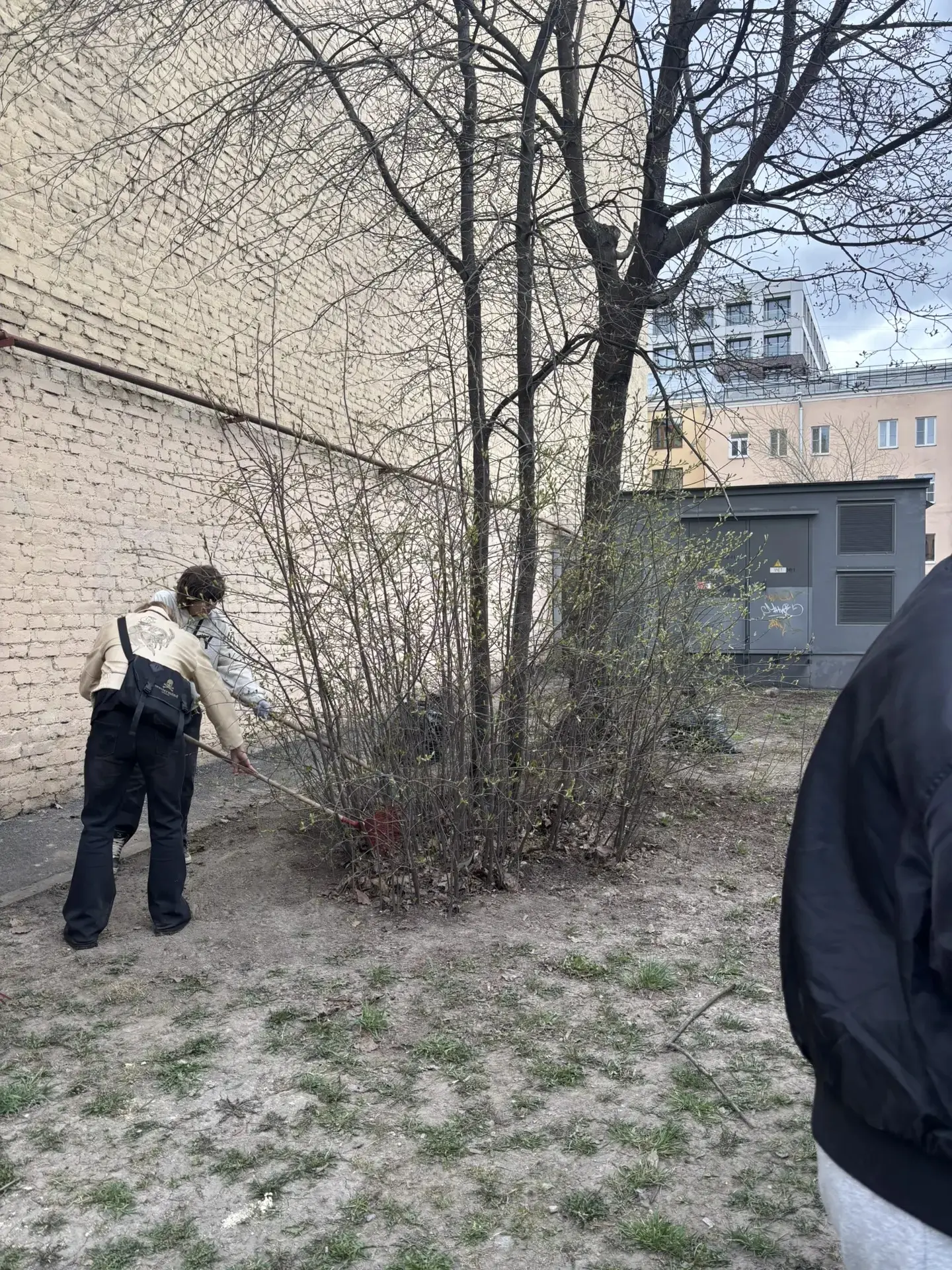 🌿  Добро начинается с малого: студенты колледжа вышли на общегородской субботник. В рамках ежегодной