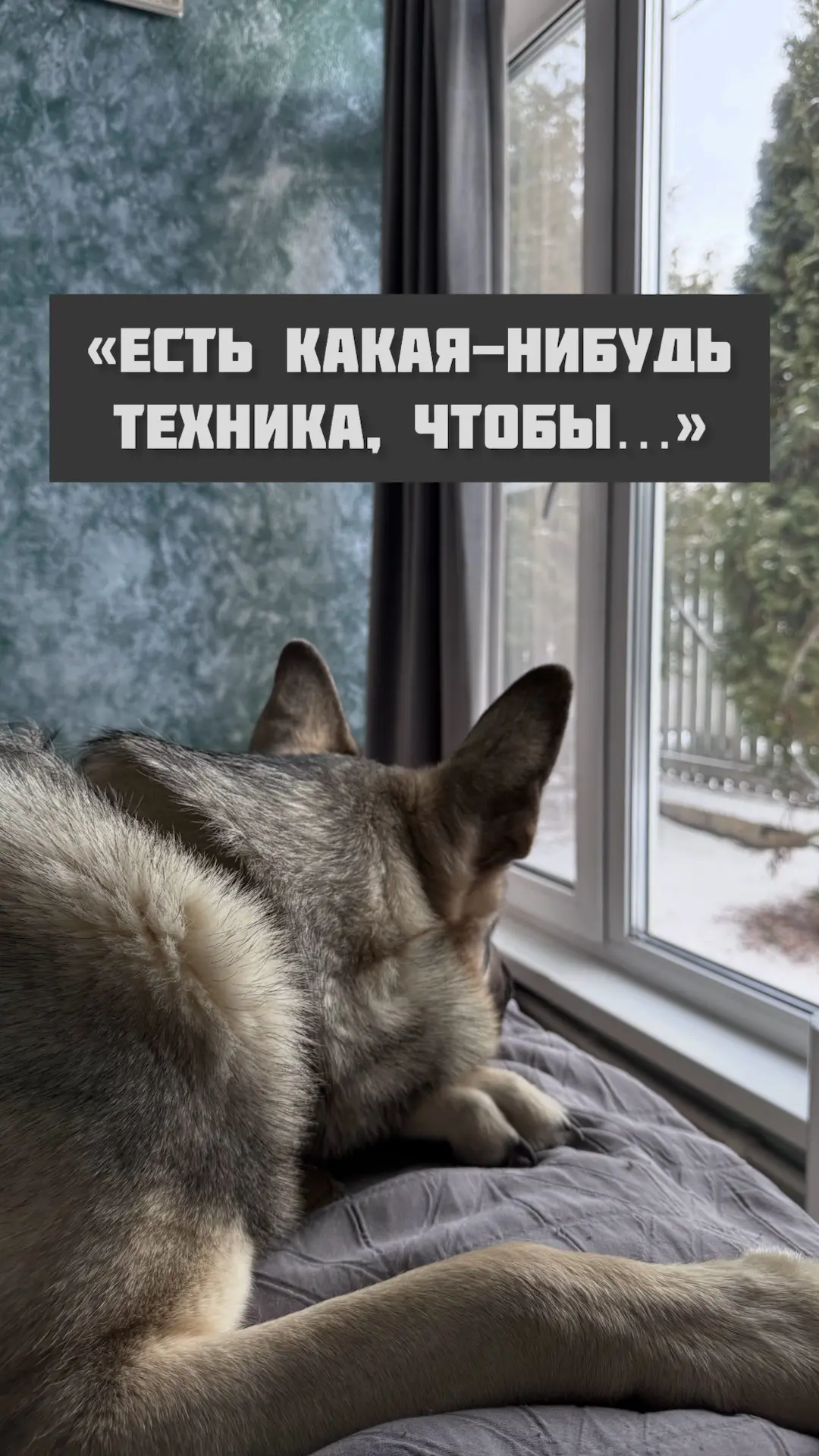 И каждый раз я думаю: вот бы в психологии всё действительно работало так просто.