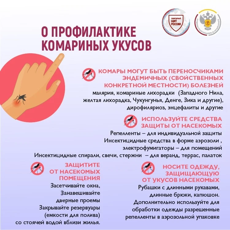 🗓🦟20 августа - Всемирный день комара. Это еще один повод напомнить о мерах профилакти...