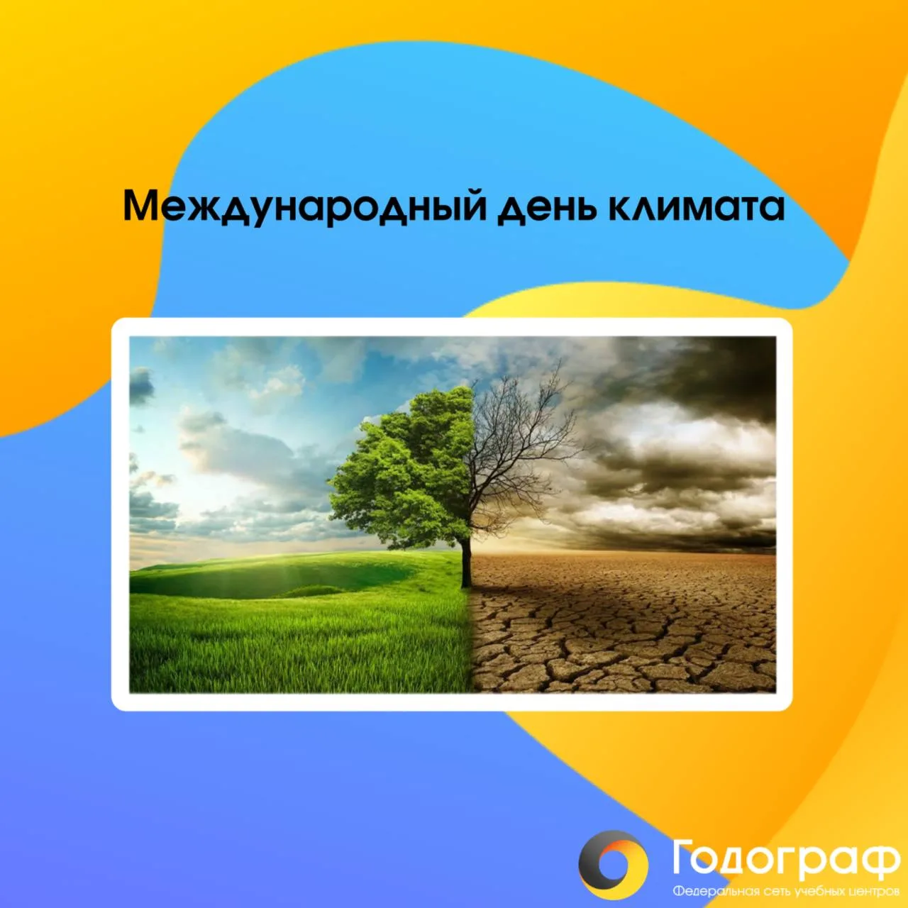 🌍 Международный день климата