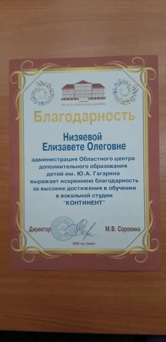 НАШИ ПОБЕДЫ
Низяева Лиза, ученица 3 "А" класса,  получила благодарность от администрации Областного 