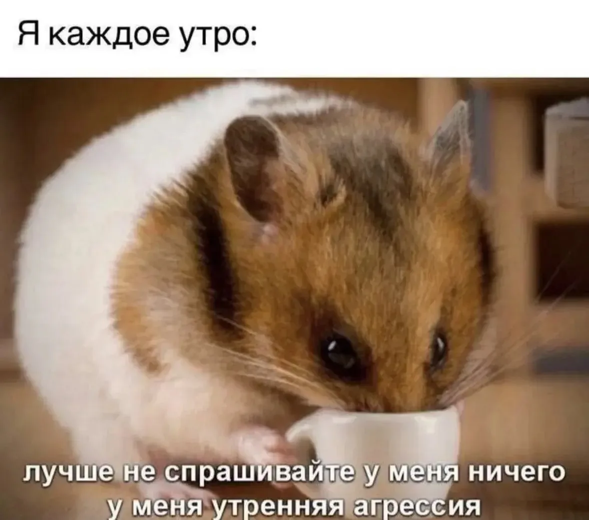 А может и не только утренняя

🔈МУЗЫКАЛЬНЫЙ БОТ: @id312331080157_3_bot
(найдёт и скачает любой трек/