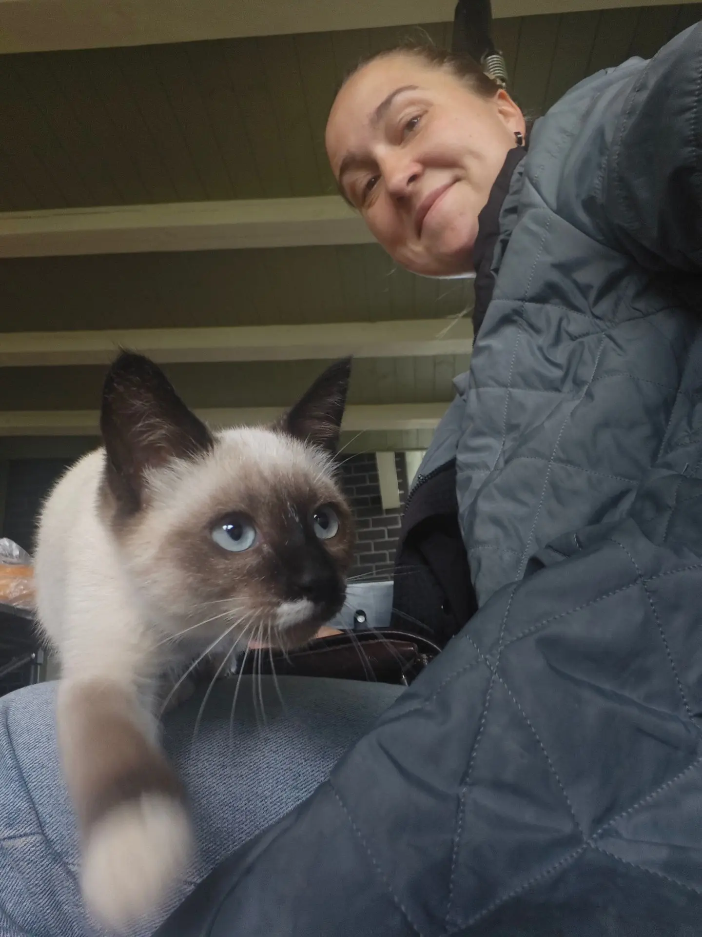 Утренние коты ❤️