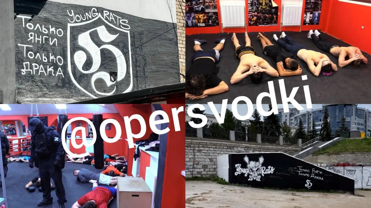 ❗️В Самаре силовиками проведены профилактические мероприятия в спортивном клубе единобо...
