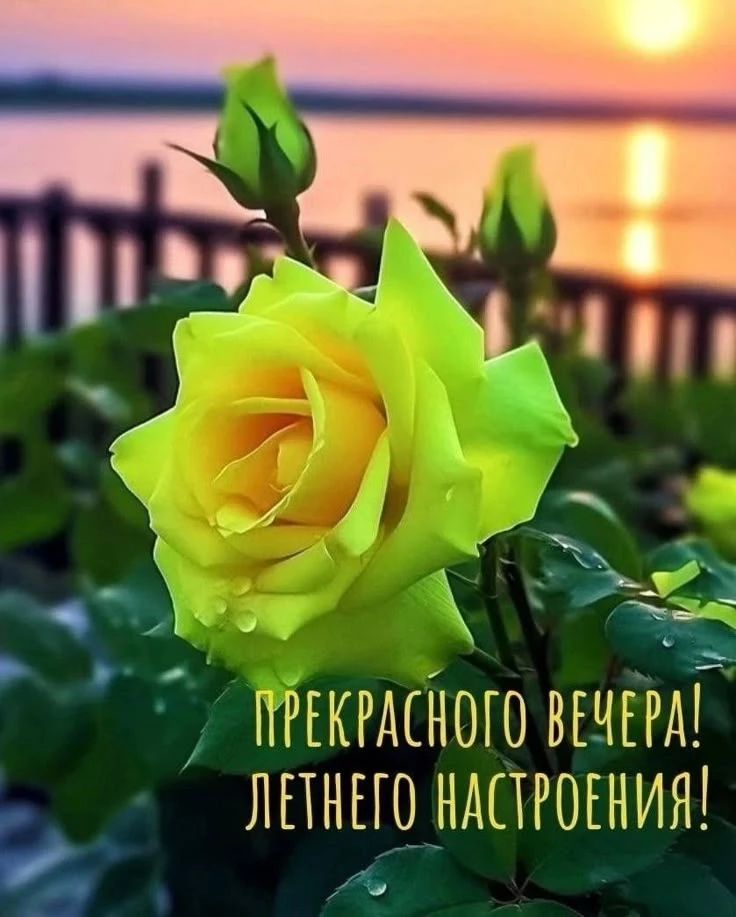 Добрый вечер!💛
