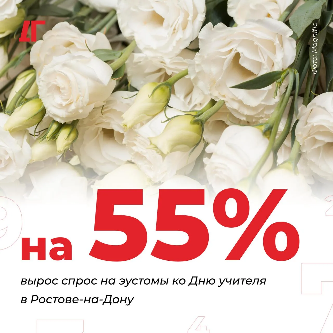 В Ростове-на-Дону спрос на эустомы ко Дню учителя вырос на 55% за год