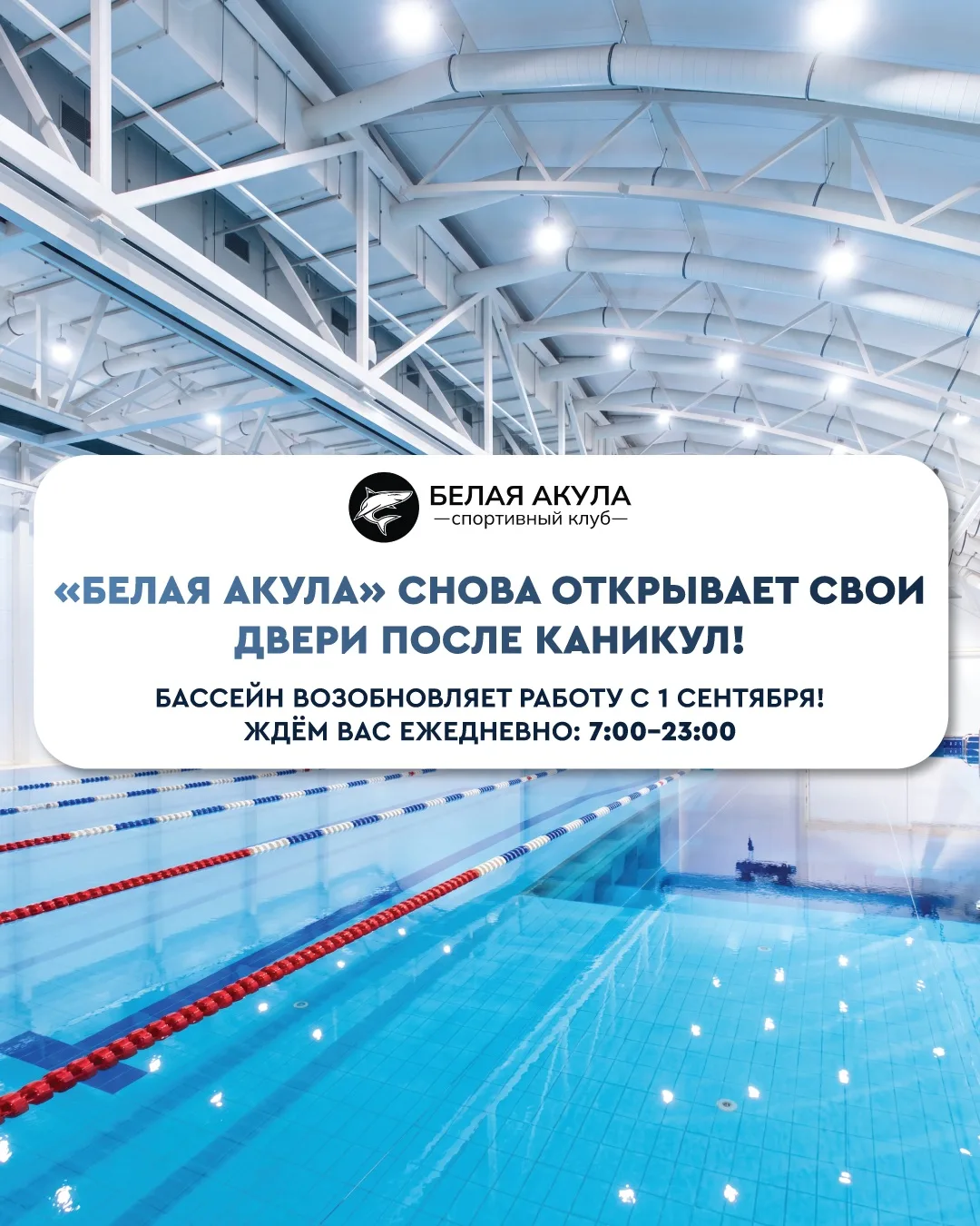 Долгожданное возвращение «Белой Акулы»