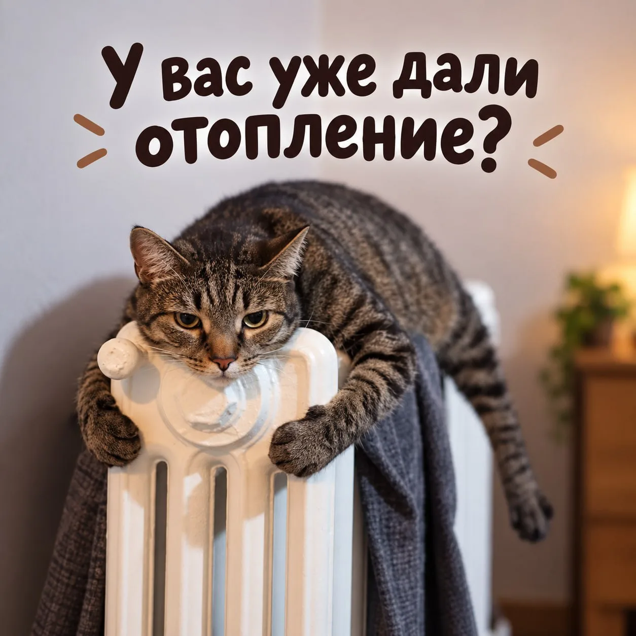 Одни соседи уже убирают тёплые пледы подальше, другие пока продолжают ждать отопление.