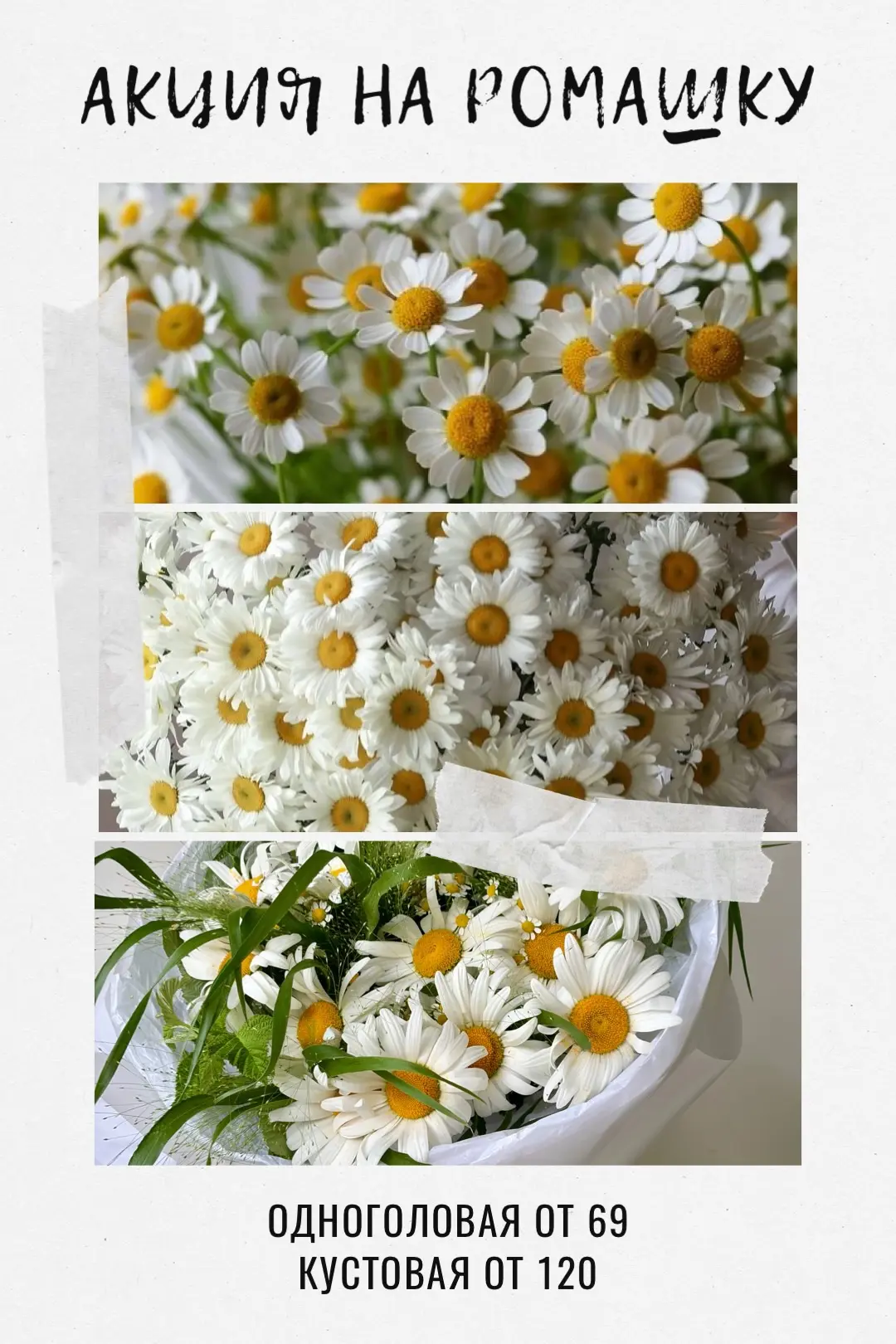 Есть повод порадоваться! 💛