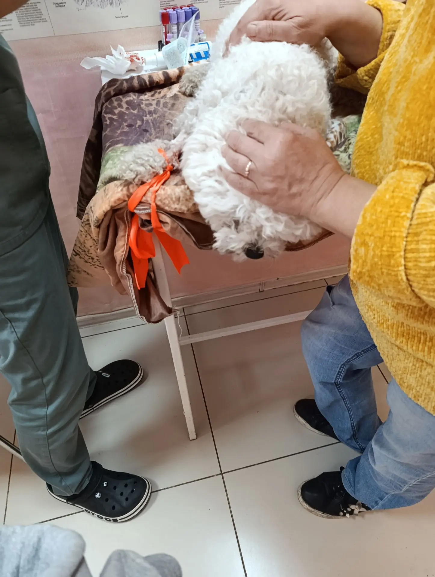 Напрасно я надеялась что за больничный успею горы свернуть в творчестве.