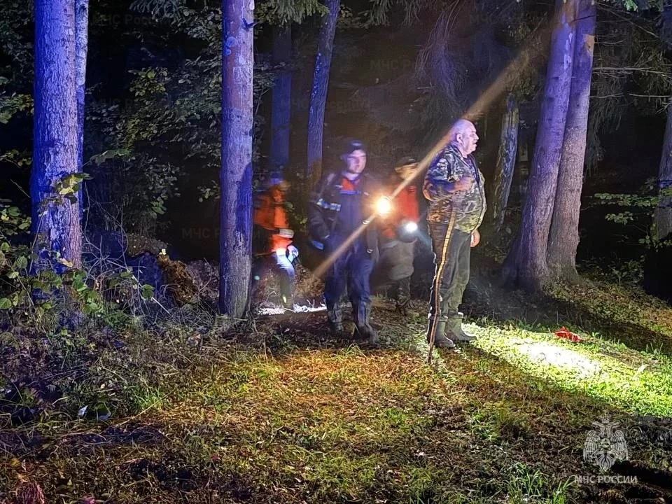 🚨В Подольске спасатели вывели из леса заблудившегося пенсионера