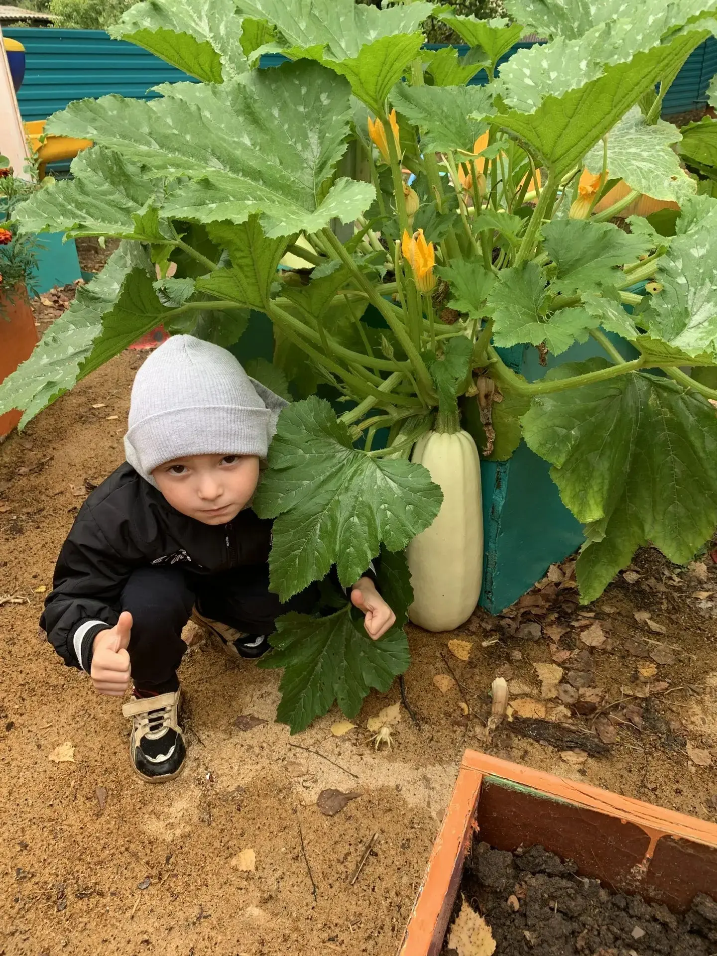 Экскурсия на мини-огород🍅🥬🥕. А там такой урожай👍!