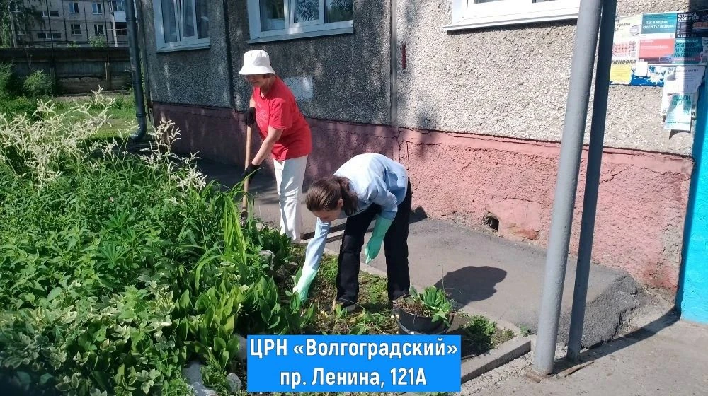 💚 Делаем наш город красивее!