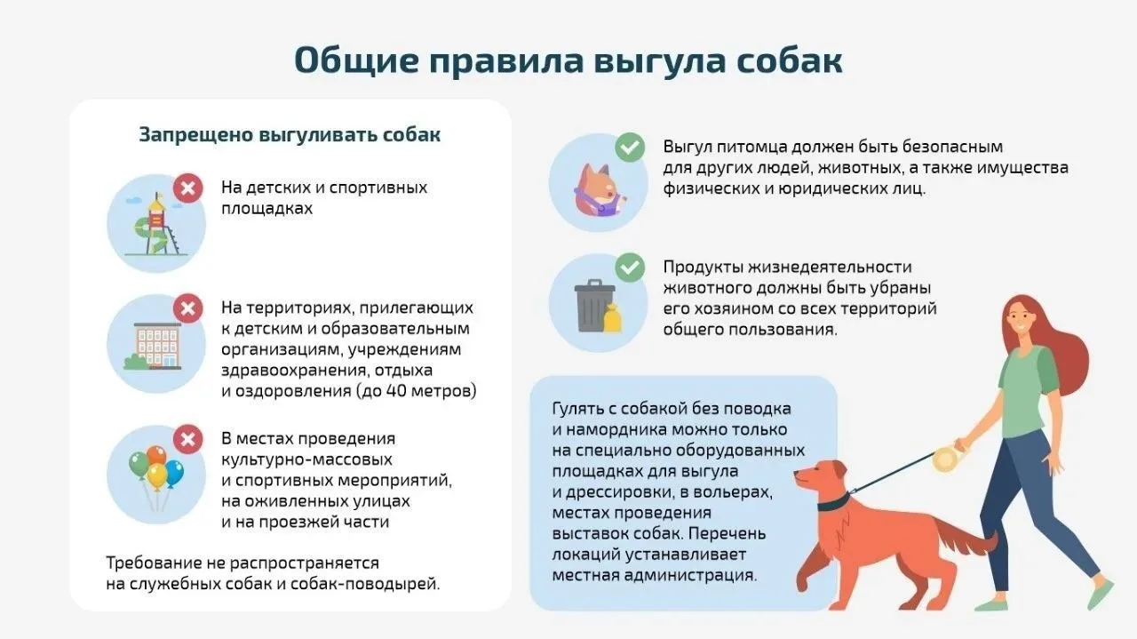 Правила выгула собак🦮🐩🐕‍🦺
