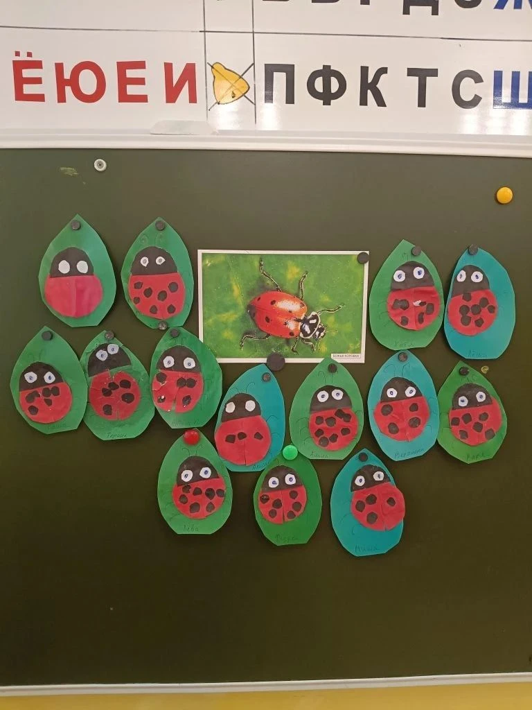 "Божья коровка"