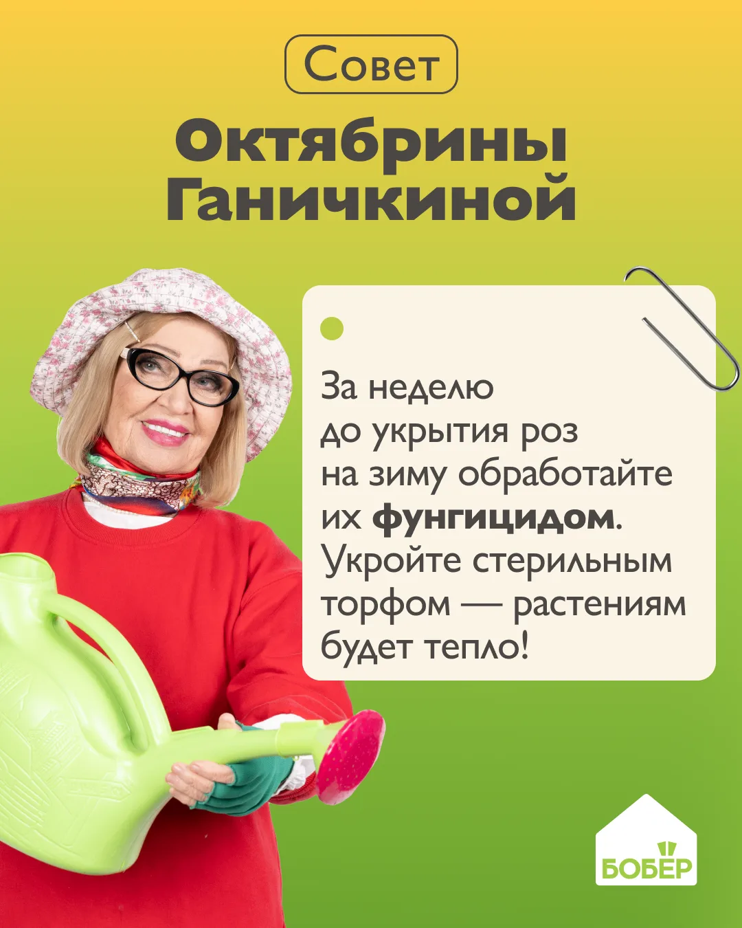 Чтобы розы не ослабли за зиму ❤️