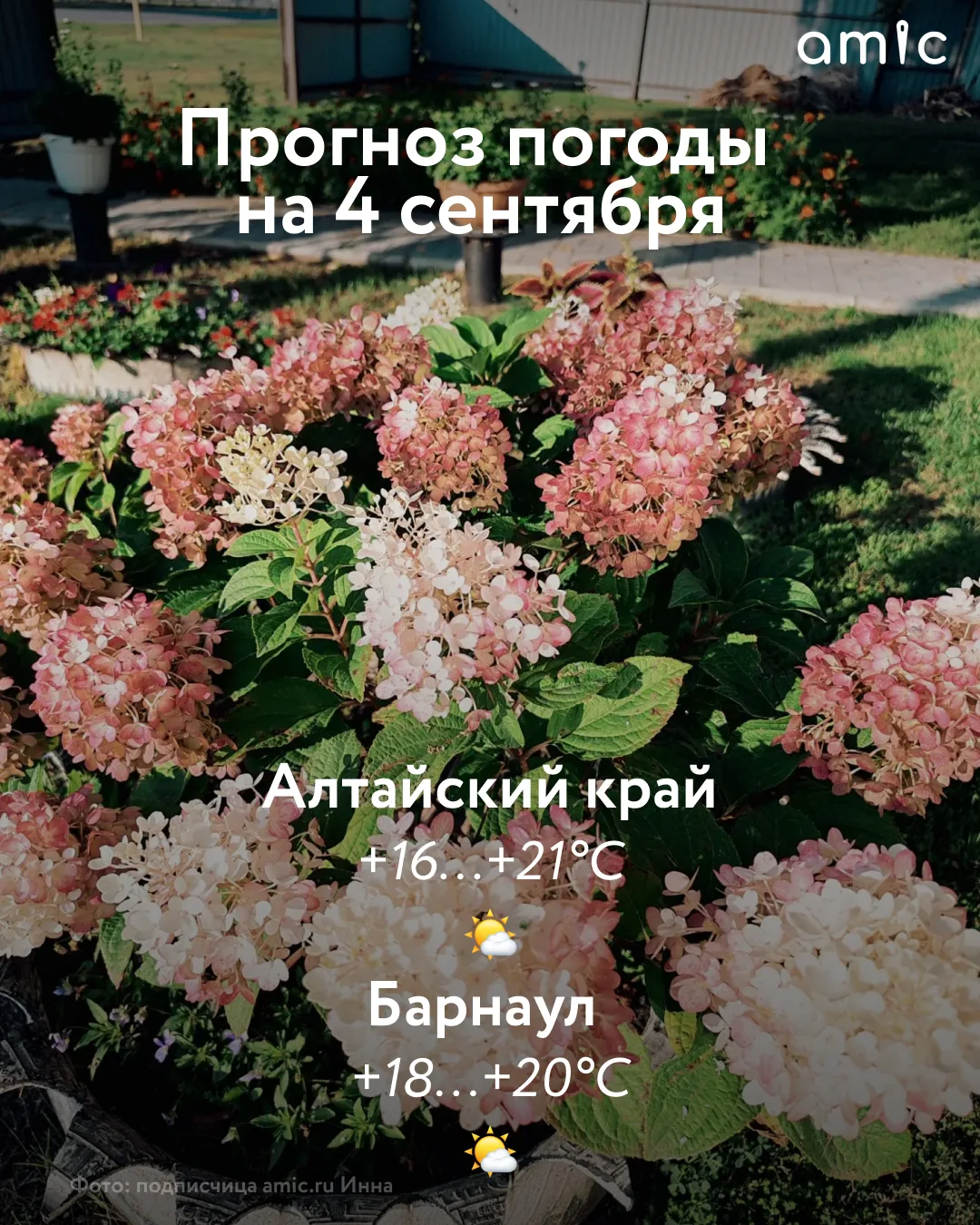 Доброе утро! О погоде в Алтайском крае на 4 сентября