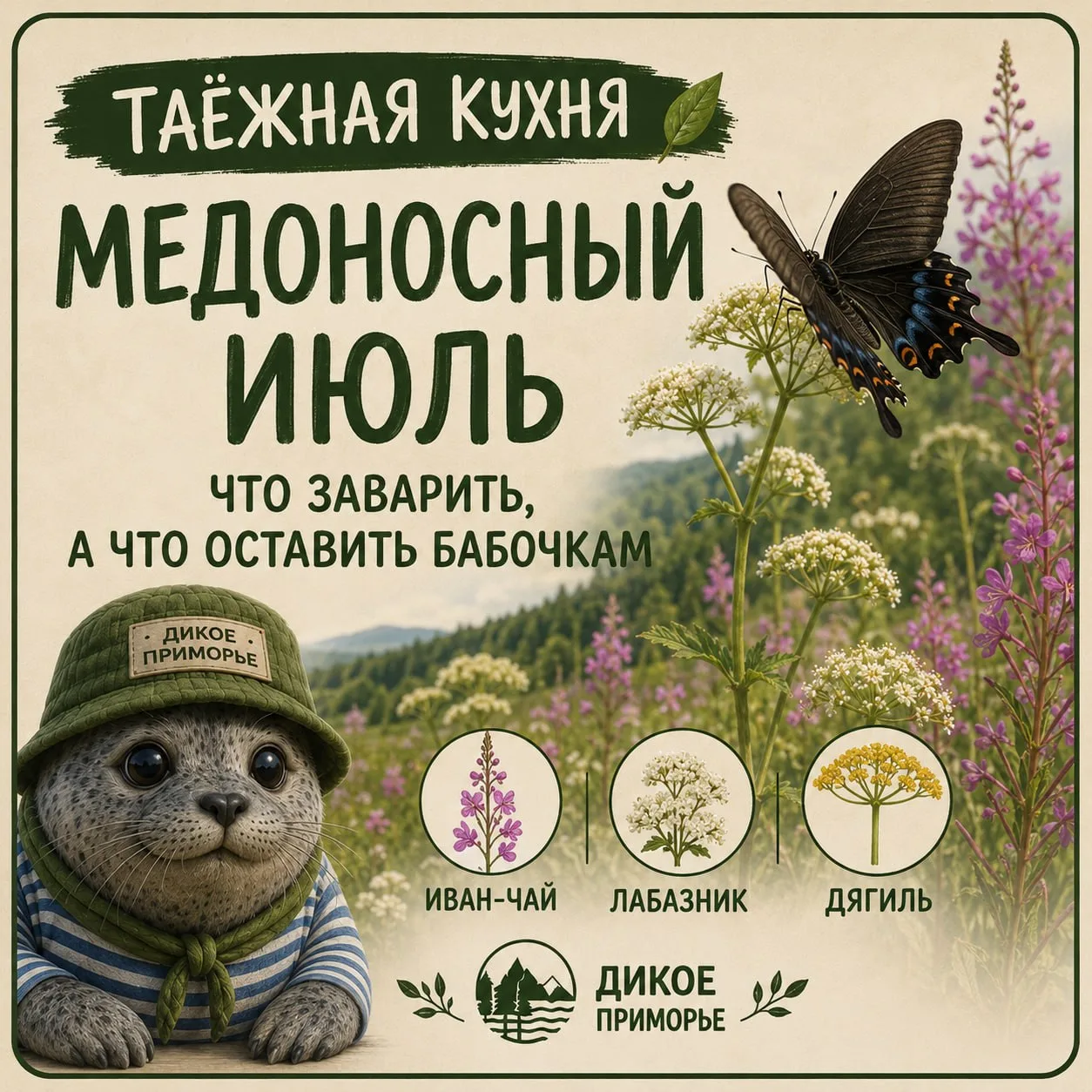 Таежная кухня| Медоносный июль: что заварить, а что оставить бабочкам

Сейчас поляны Приморья пахнут
