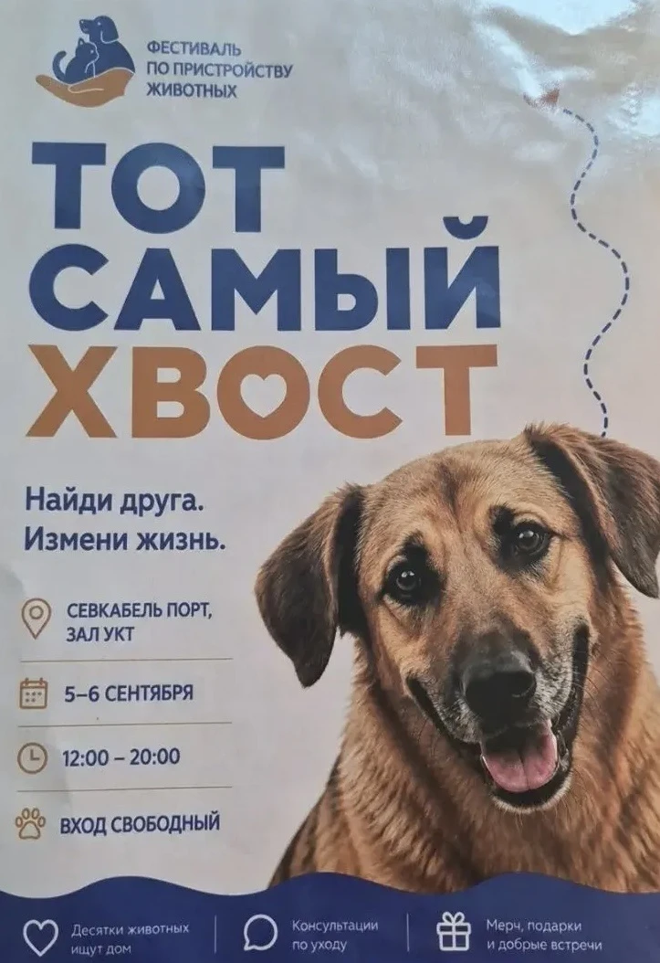 ✨Уважаемые жители!✨