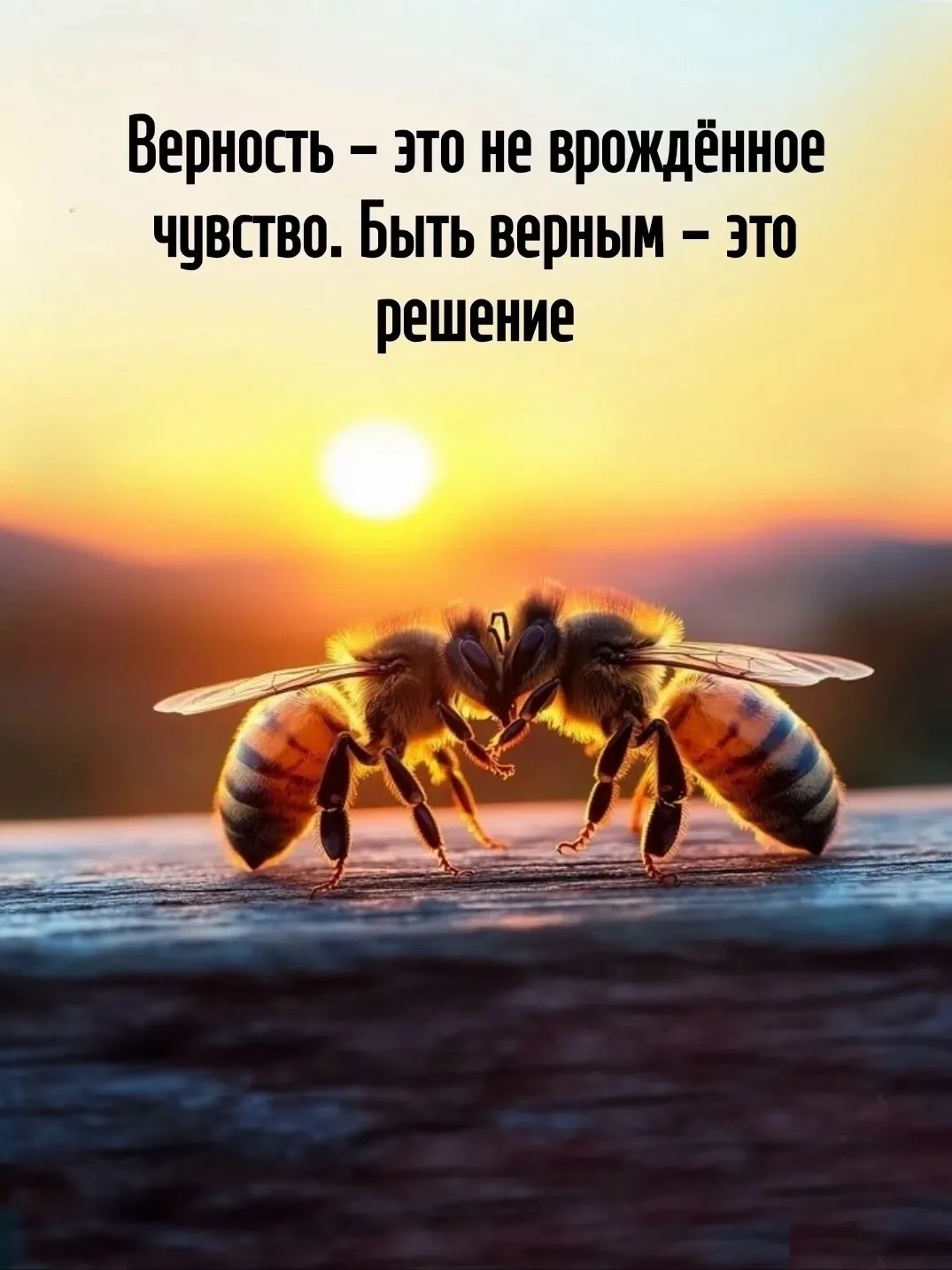 Мудрость слов | цитаты Мудрость слов | цитаты