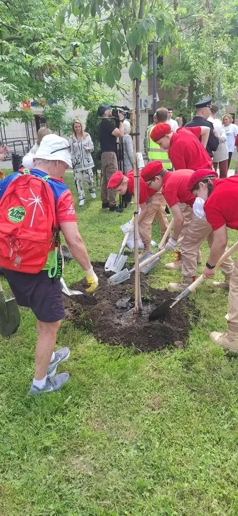 НАШИ #Юнармия #СадПамяти #ПатриотическоеВоспитание  🌳 Юнармейцы приняли участие в международной акци