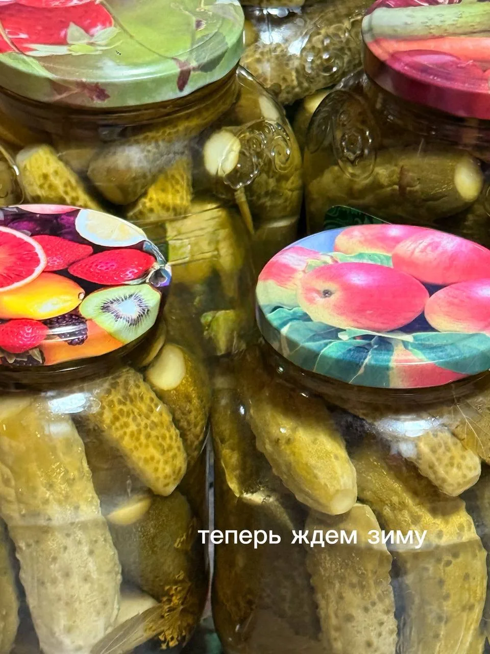 Изображение 6 к публикации «САДОВОД ИЗ МЕГАПОЛИСА»