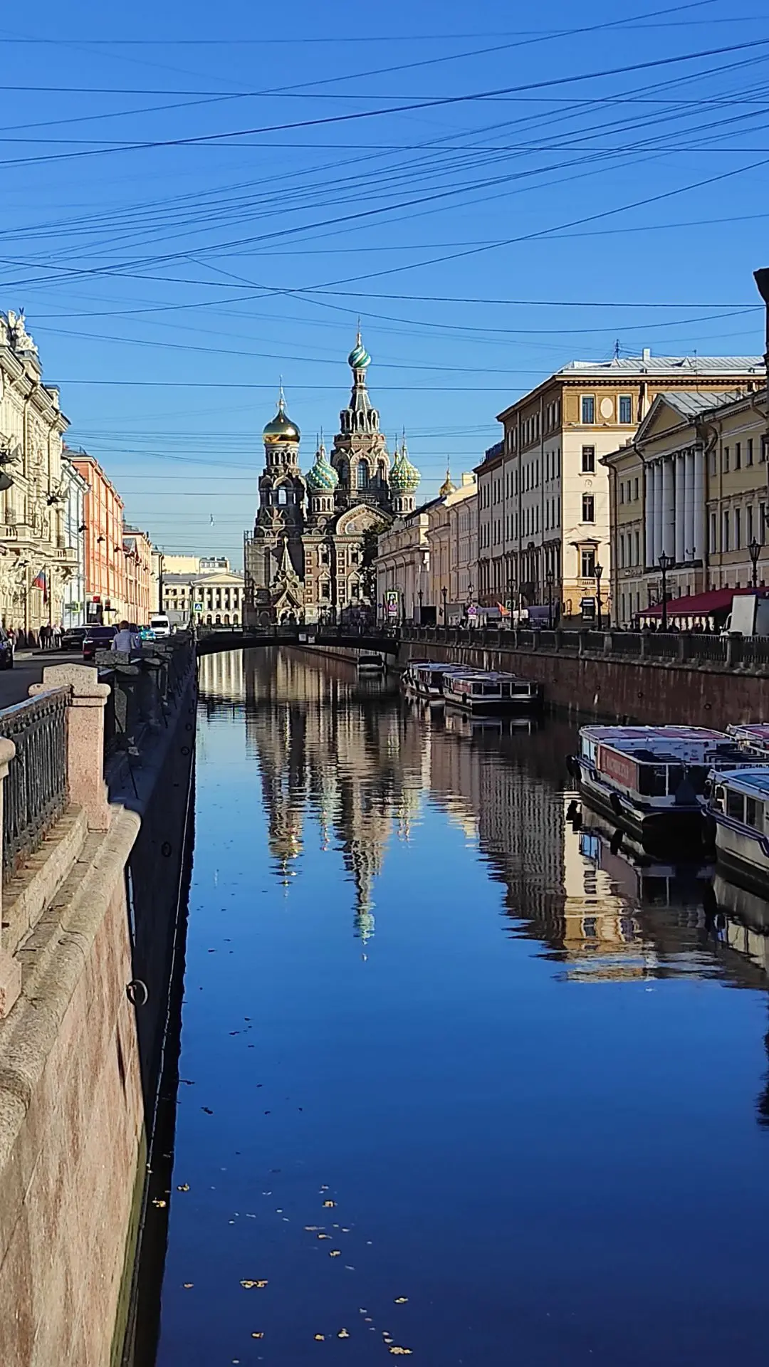 Сегодня красивый солнечный день🌞